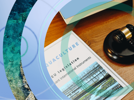 EU legislation and relevant international instruments