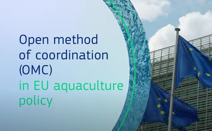Open Method of Cooperation (OMC)